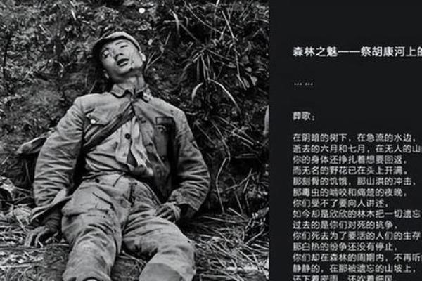 1942年出生的人命运影响与生活智慧探讨