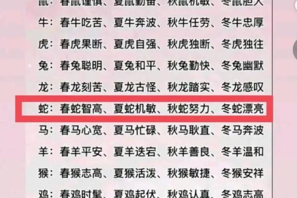 解读核心命坐：揭示你的生肖秘密与性格特征