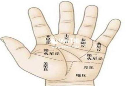 白腊金命男与其他命格的最佳配对解析