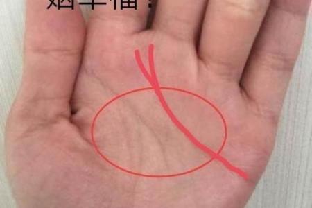 解析女生手相：探寻命运密码，揭示你的美好人生
