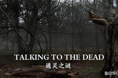 揭秘金刚命：与命运对话的神秘力量