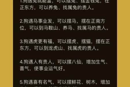 2008年兔年命运解析：聪慧与柔和的统一之道