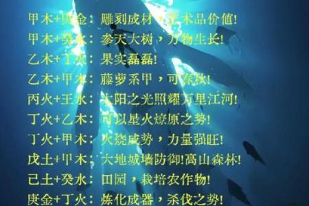 揭秘饿金命：探寻影响命运的五行力量与特点