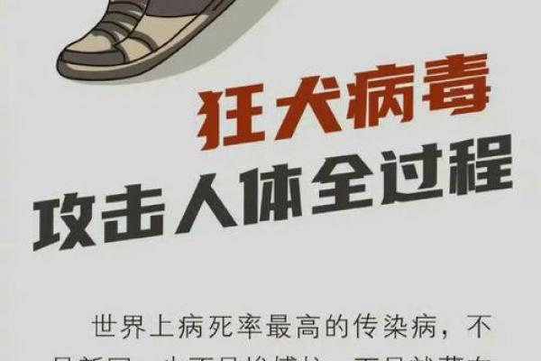 狗咬之谜：你知道为什么这些人特别容易被狗攻击吗？