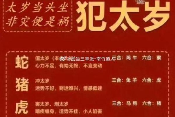 探秘2019己亥年:了解亥猪之命的独特魅力与人生智慧 探秘2019己亥年:了解亥猪之命的独特魅力与人生智慧