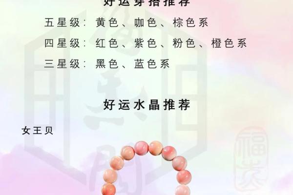 2024年是什么年？揭秘2024年的命理之谜与人生启示！