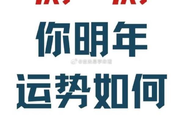 揭秘2015羊女的命运：蕴藏着哪些潜在机遇与挑战？