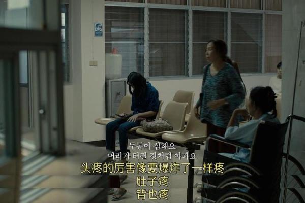 探索神秘：2004年命运之年的深度解析