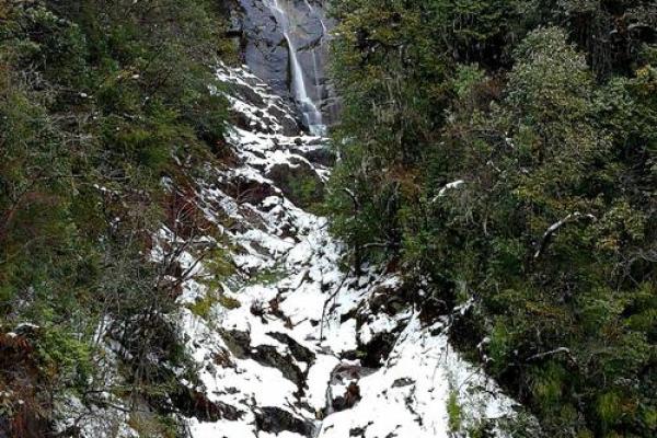 独龙命：探索生命之源与心灵之旅的深刻哲理