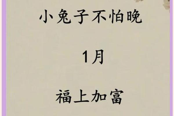 1963年兔年宝宝的命运与人生智慧探讨