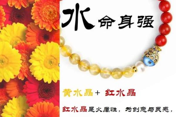 金命与水命：如何选择适合的植物以提升运势？