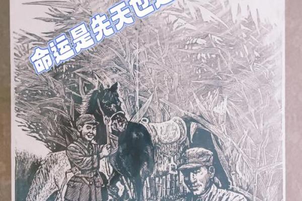 苦命孩子的命运：生命中的艰难与坚韧