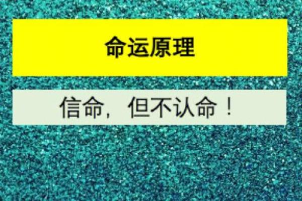 不信命运，宁愿为梦想而拼搏——探讨《不信命不惜运》的歌意与启示