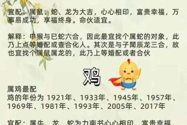 1984年出生的人与生肖配对解析：揭秘命运与生肖的奥秘