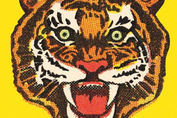 1963年虎年命运解析：智慧与勇气交织的生肖人生