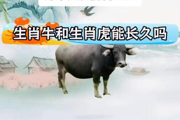 1985年牛牛命：解析属牛者的命运与人生智慧