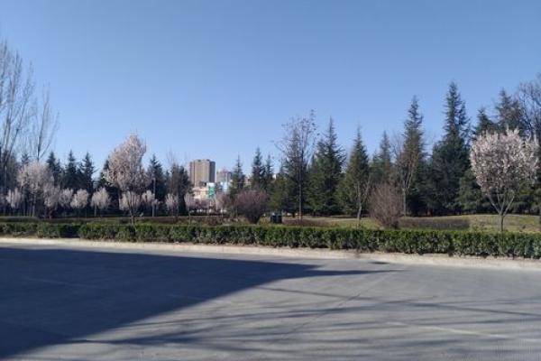 耳朵外翻的女性命运解析:她们的独特魅力和人生轨迹 耳朵外翻的女性命运解析:她们的独特魅力和人生轨迹