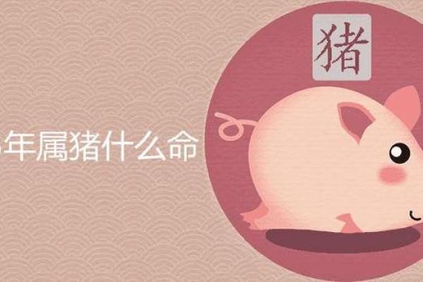 1995年属猪的木命特征与命运分析