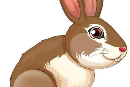 1999年的生肖与命运：解读兔年人的人生轨迹与性格特征