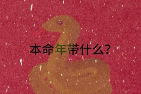 1965年出生者的命格解析与人生启示