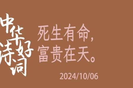 1987年出生者命运揭秘：宿命与机会的碰撞