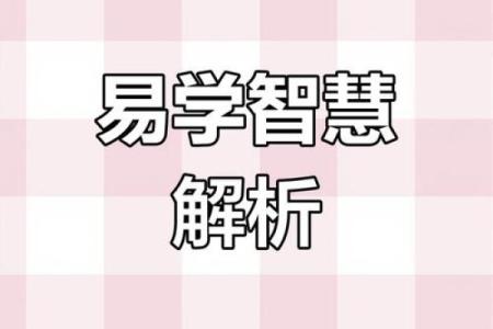 探索命局中的命主与身主：解密八字的奥秘与人生指导