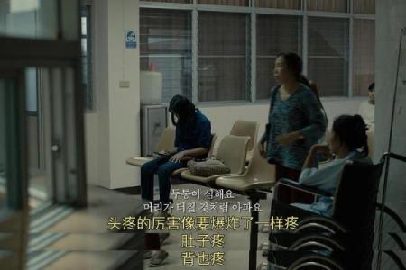 探索神秘：2004年命运之年的深度解析