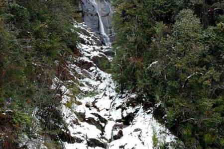 独龙命：探索生命之源与心灵之旅的深刻哲理