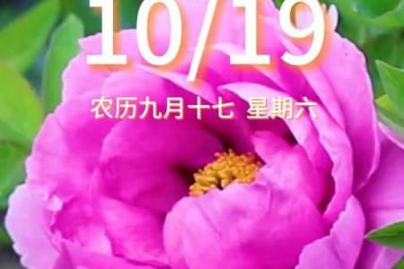 探秘农历9月19出生的人：命理与人生的精彩旅程