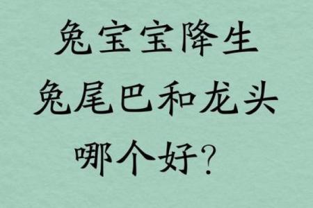 1963年兔年宝宝的命运与人生智慧探讨