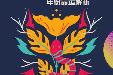 1982年出生的命运与生肖解析：走向辉煌的正确选择