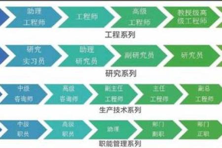 土牛命女孩适合的职业选择与发展路径分析