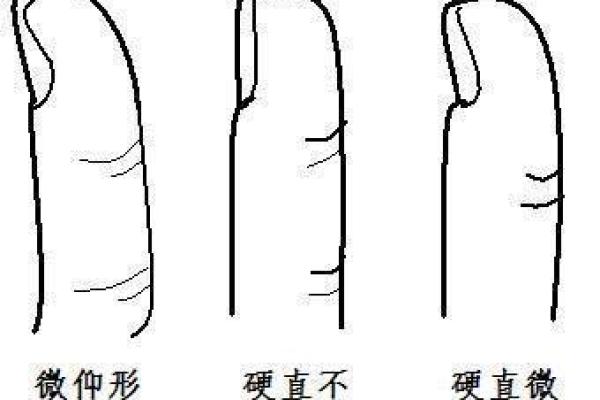 1963年出生的你,命运之路如何?解读每年的命运与个性特征! 1963年出生的你,命运之路如何?解读每年的命运与个性特征!