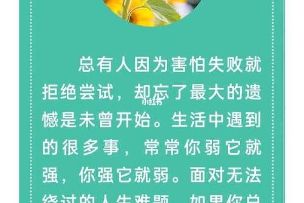 1995年属猴人的命运解析：勇敢与智慧的旅程