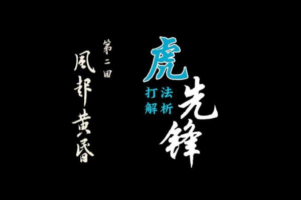 2023年：水虎年中寻求勇敢与智慧的平衡之道