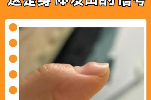 揭秘指甲形状：长圆形指甲的命理解读与生活影响