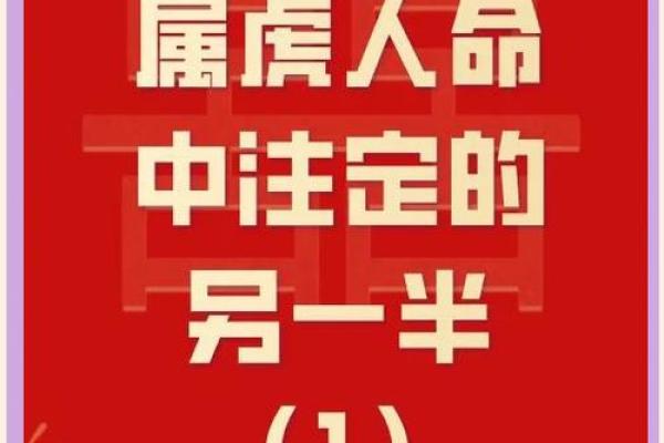 1998年出生的属虎人：揭示你的命理与性格之旅