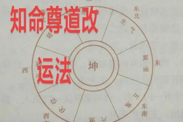 坤命男适合从事哪些行业？揭示八字背后的职业路径！