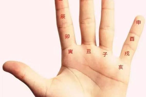 金鸡命的生活哲学：从运势到心态的全方位解析