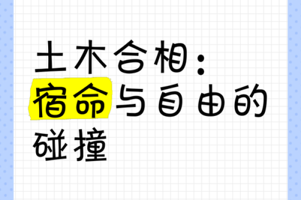 木命与土命：命理中的奇妙联系与深意