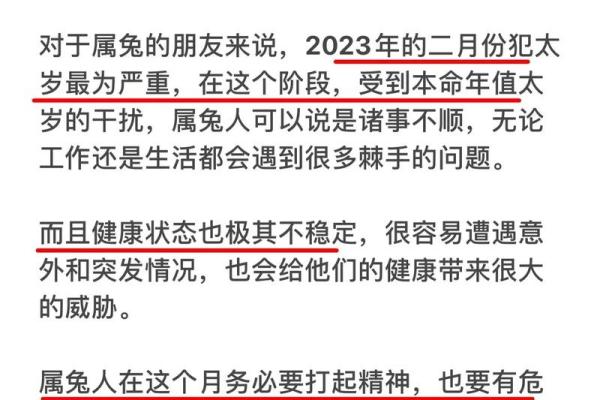 2023兔年命理解析：兔年出生者的财富与运势指南