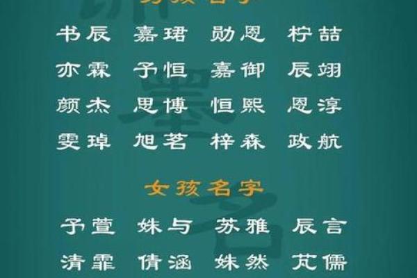2023兔宝宝的命运解析：八字、生肖与未来命格如何影响一生？