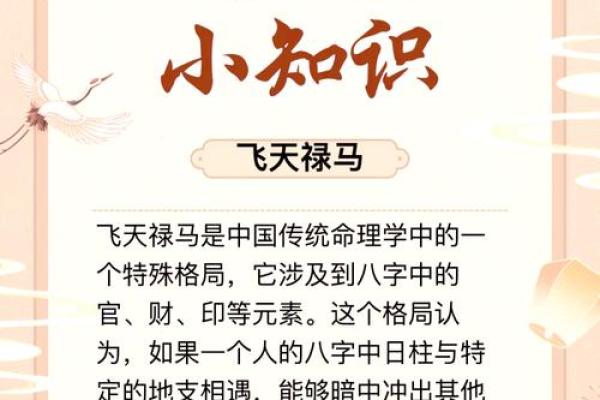 乙酉年命主解析：神秘的命理与人生轨迹