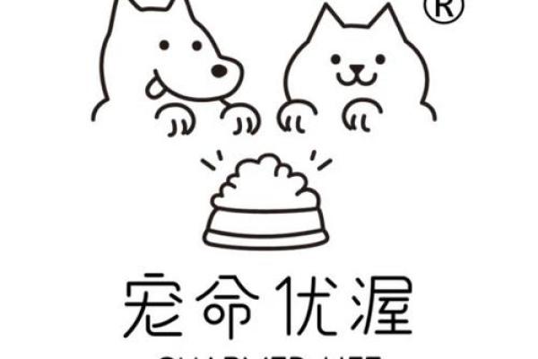 宠命优渥，探寻宠命的真正含义与生活的哲学