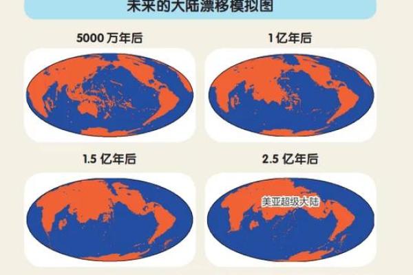 19769年的命理解析：探索五十年后的生命轨迹与气运变化