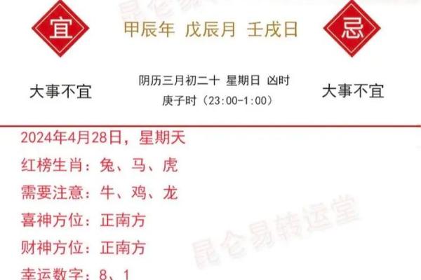 明年出生的龙宝宝运势分析及命理特点揭秘