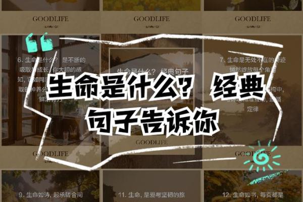 除了大海水，还有什么命——探寻生命的意义与价值