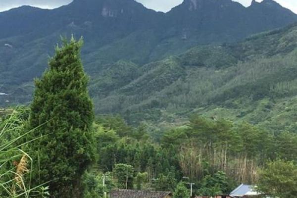 探索乙未仙命：适合坐山的选择与智慧