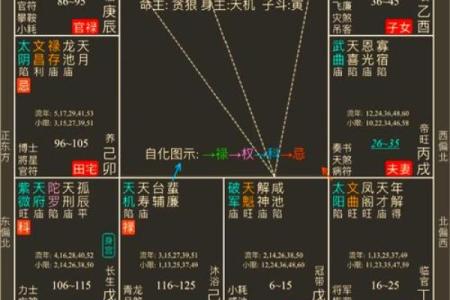 探索命盘的奥秘：如何通过命盘解读人生之路？