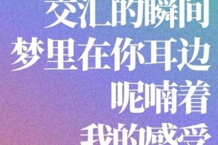 有泪命征途：在风雨中追寻真我之路